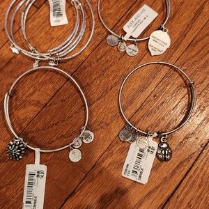Alex and Ani Silver Charm Bracelet Collection